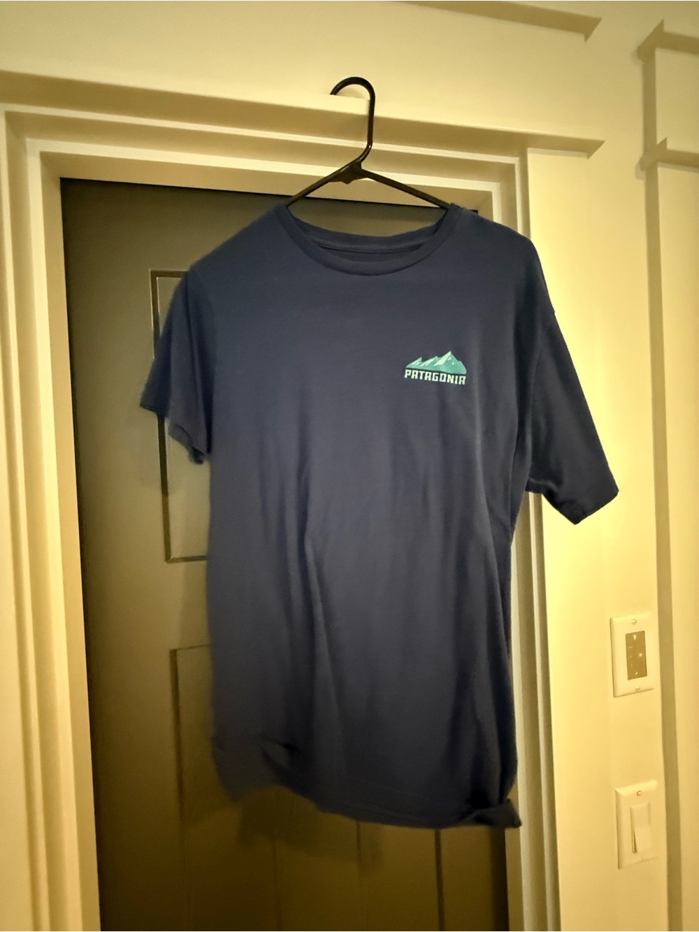 Patagonia Navy Short-Sleeve Tee with Turquoise Logo